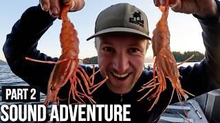 8 Days BOAT CAMPING Fishing, Deer Hunt, Shrimping PART 2