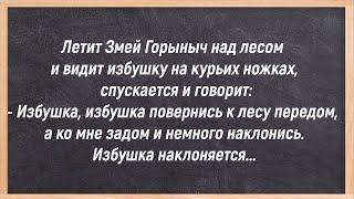 Как Волк С Зайцем Мешок Еды Делили! Весёлые Анекдоты, Юмор, Позитив!