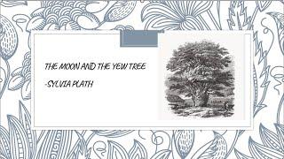 the moon and the yew tree by sylvia plath