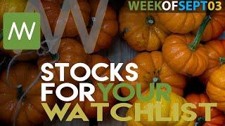 Top Stocks For This Week That You Should Have on Your Watch List! ( Week of Sept 03 )