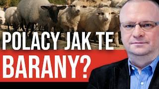 Warzecha alarmuje: POLACY OBERWĄ NAJBARDZIEJ?! System ETS2 zgotuje nam PIEKŁO?! Ceny mogą wystrzelić