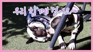 우리 함께 걸어요~  : 자닮 세무회계 송애경 세무사