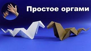 How to make a paper snake. Origami paper snake