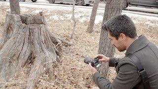 Sony A6000 Hands-On Field Test