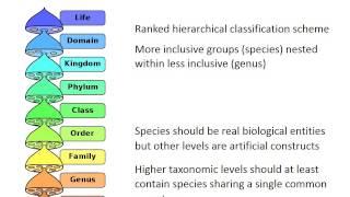 Species concepts and classification