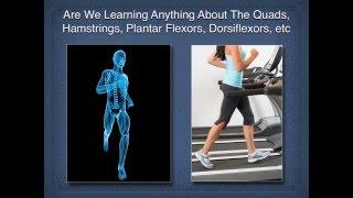 Gait in Functional Movement Diagnostics and Treatment,#gait,#back,#knee