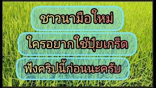 ปุ๋ยเกร็ดคืออะไรใช้ยังไงใช้ตอนไหน