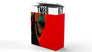 (FREE) TM88 KIT + VST