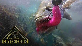 Dropshotting for Kob in the Eastern Cape, South Africa PLUS BONUS UNDERWATER FOOTAGE | CATCH COOK