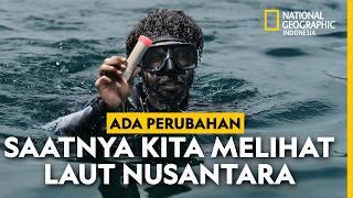 JELAJAH BENTANG LAUT KEPALA BURUNG PAPUA