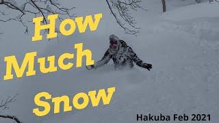 Hakuba. How much snow do you want?