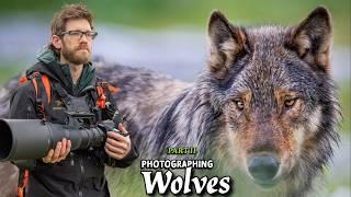 Photographing WOLVES and BEARS on Vancouver Island PART 2 - Nikon Z9