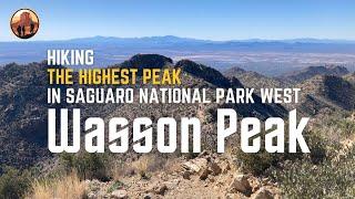 Best Hikes in Saguaro National Park: King Canyon Trail to Wasson Peak