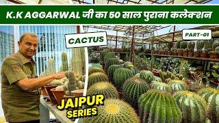 K.K Aggarwal जी का 50 साल पुराना कैक्टस कलेक्शन | 50 Yr Old Cactus Collection of Mr. K.K Aggarwal 