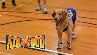 Air Bud O Cão Amigo Film - Brasil