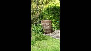 Bienen im Weinfass - Einzug 1/8