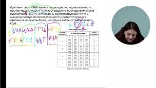 Задачи по цитологии. Биосинтез белка. ЕГЭ