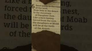 Isaiah 16:1-2.   ..."forced from the nest,"....
