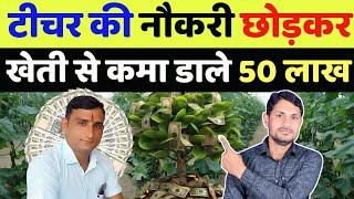 सबसे ज्यादा मुनाफा देने वाली खेती | highest profitable farming in india | polyhouse farming in india