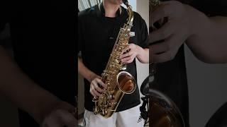 Mr.Saxobeat Sax Cover  #mrsaxobeat #saxophone #cover