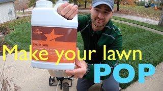 MAKE YOUR LAWN DARKER | Lawn Star Liquid Iron