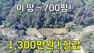 안팔려서 던집니다. 700평이 공짜나 다름없으니 가져가세요!#땅집정보통 #경매사이트 #부동산경매