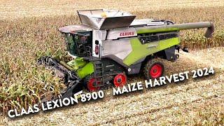 4Kᵁᴴᴰ November 2024: Forrest Farms Claas Lexion 8900 + MacDon C7508 CF harvesting maize in Suffolk