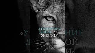 Медитативная техника «УВЕЛИЧЕНИЕ ДЕНЕЖНОЙ ЭНЕРГИИ»  #денежнаямедитация#медитация#денежнаяэнергия