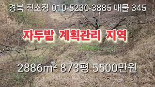 매물 345# 경북 진소장 #의성 부동산 #군위부동산 #안동부동산 #경북 부동산 #의성 토지 매매 #군위땅 매매 #과수원 매매 #촌집 매매 #임야 매매 #진소장