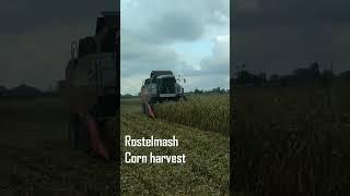 #rostselmash #corn #capello #shorts #agriculture #farming
