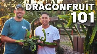 How To Grow Dragon Fruit (COMPLETE GUIDE)