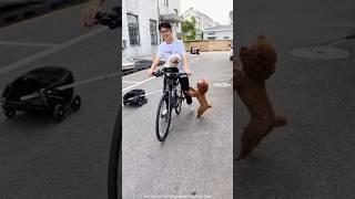 I Want The Front Seat! ‍️ #shorts #ytshorts #funny #shortsfeed