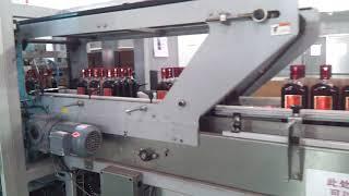 20 ton bottle automatic carton packing machine and filling line