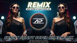 SUNNY SUNNY | UNIQUE STYLE CIRCUIT | EDM CLUB MIX 2024 | DJ AP REMIX NEW 2025