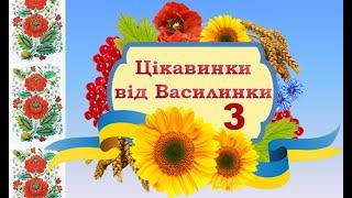 ЦІКАВИНКИ ВІД ВАСИЛИНКИ. Зустріч 3.  музичний керівник Зоря К. М.