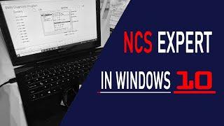 Setup Guide INPA and NCS EXPERT in Windows 10