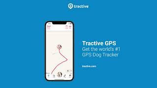 Get Real-time Peace of Mind - Tractive GPS Tracker for Dogs