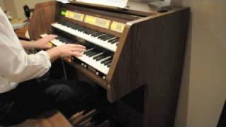 Viscount Organ Vivace 30