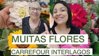 QUINTA-FEIRA NO CARREFOUR INTERLAGOS, FLORES A PARTIR DE R$9,99// GIRASSOL, DÁLIAS, GÉRBERAS, ROSAS