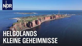 Feuerwehr, Flughafen und verletzte Haustiere - Helgoland hinter den Kulissen | Nordseereport | NDR D