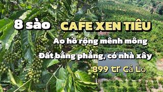 (Đã Bán) Vườn cafe xen tiêu giá rẻ sập sàn, tổng 8 sào có ao hồ nhà xây ngay dân cư, bán gấp