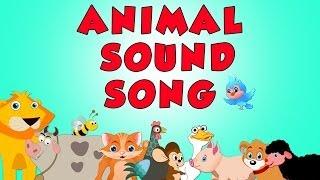 Animal sound song