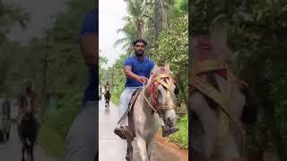 Calicut horse riding /horse sale .training. Riding cls#calicut #kozhikode #kuthira #calicut horse