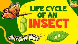 Life of Insects | Life Cycle of a Butterfly | Insects for Kids | Science for Kids