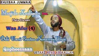 waa_4_Dilii_umrii_guutuu_namarraa hayxii...Ustaz Riyad Abdallaah #subscribe godhaa ahbaabi