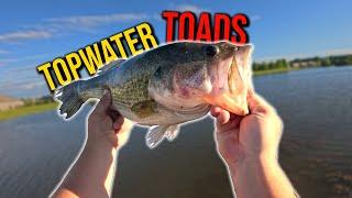 That Time the Whopper Plopper 130 got SLURPED! (Pond MONSTERS)