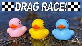 Ultimate Drag Race - Duck-tacklar! - River Race | Everyday Driver