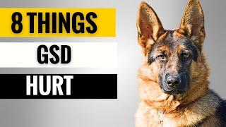 8 Things That Emotionally Hurt Your German Shepherd