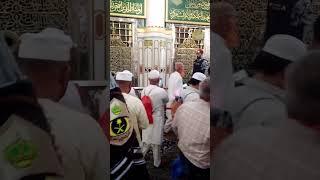Riaz ul Jannah/Roza e Rasool pbuh/Madina#shortsbeta#shortvideo #shortsfeed #shorts #short #subscribe