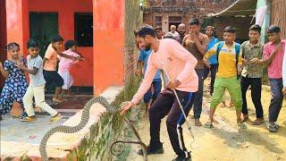 snake rescue video. from village Faridpur. Bulandshahar snake Rescue Team.9720761211